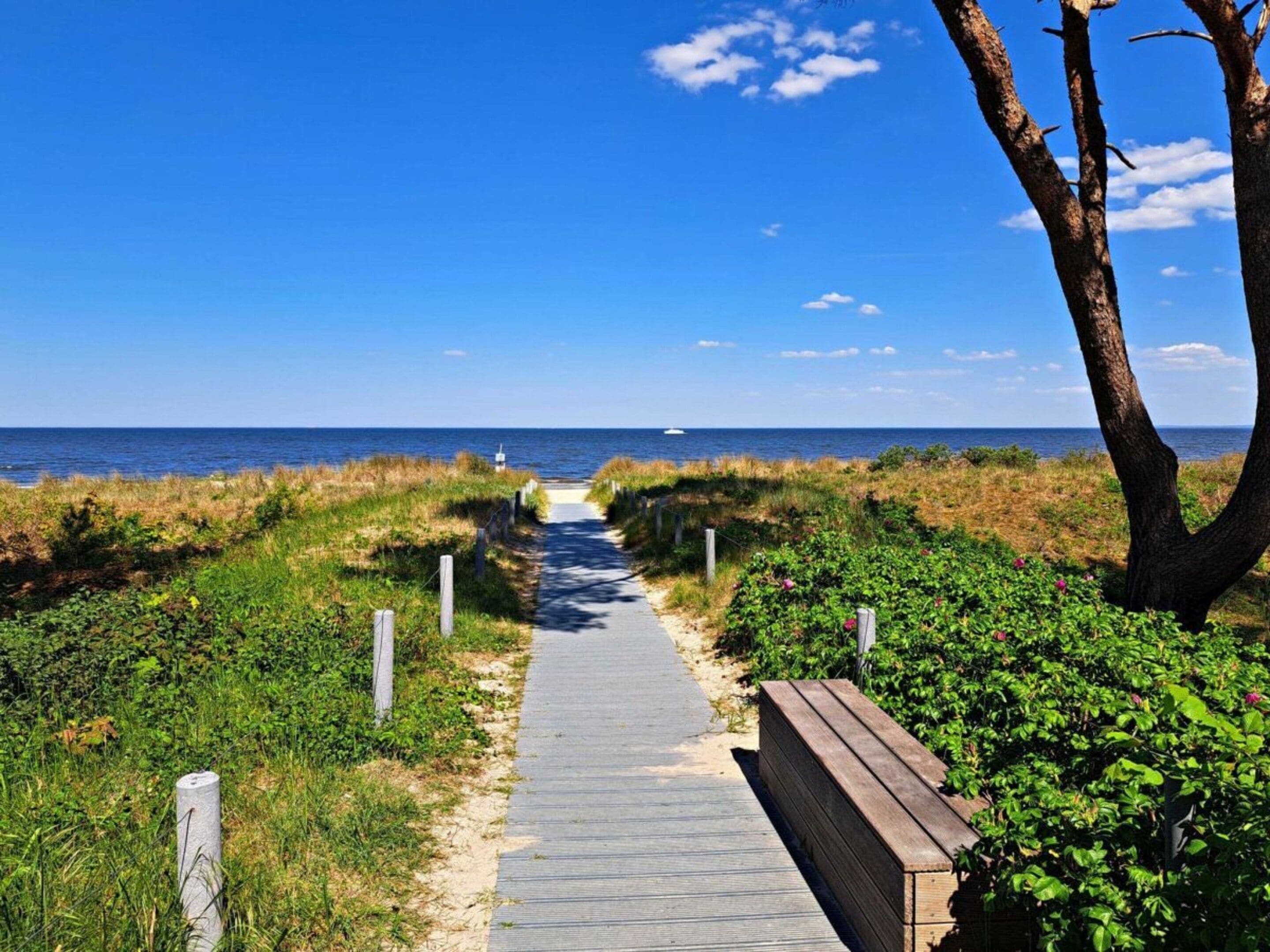 A wooden boardwalk leading to the beach, surrounded by greenery and a clear blue sky.