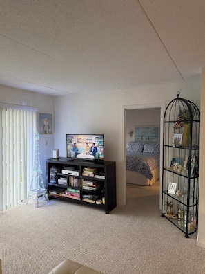 Ein Wohnzimmer mit Fernseher, Bücherregal und einem dekorativen Vogelkäfig.