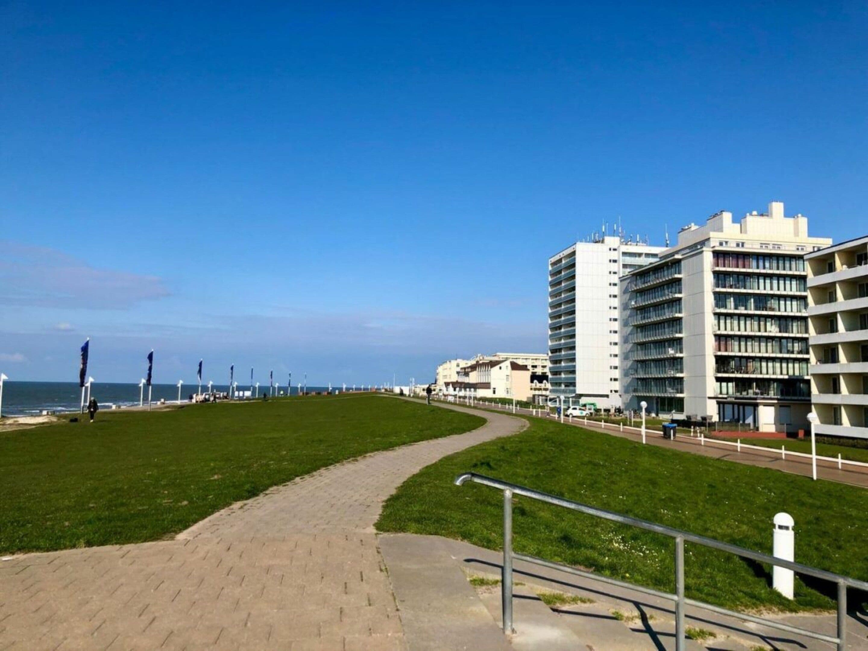 Un vialetto lastricato che conduce a una zona verde con edifici sullo sfondo.