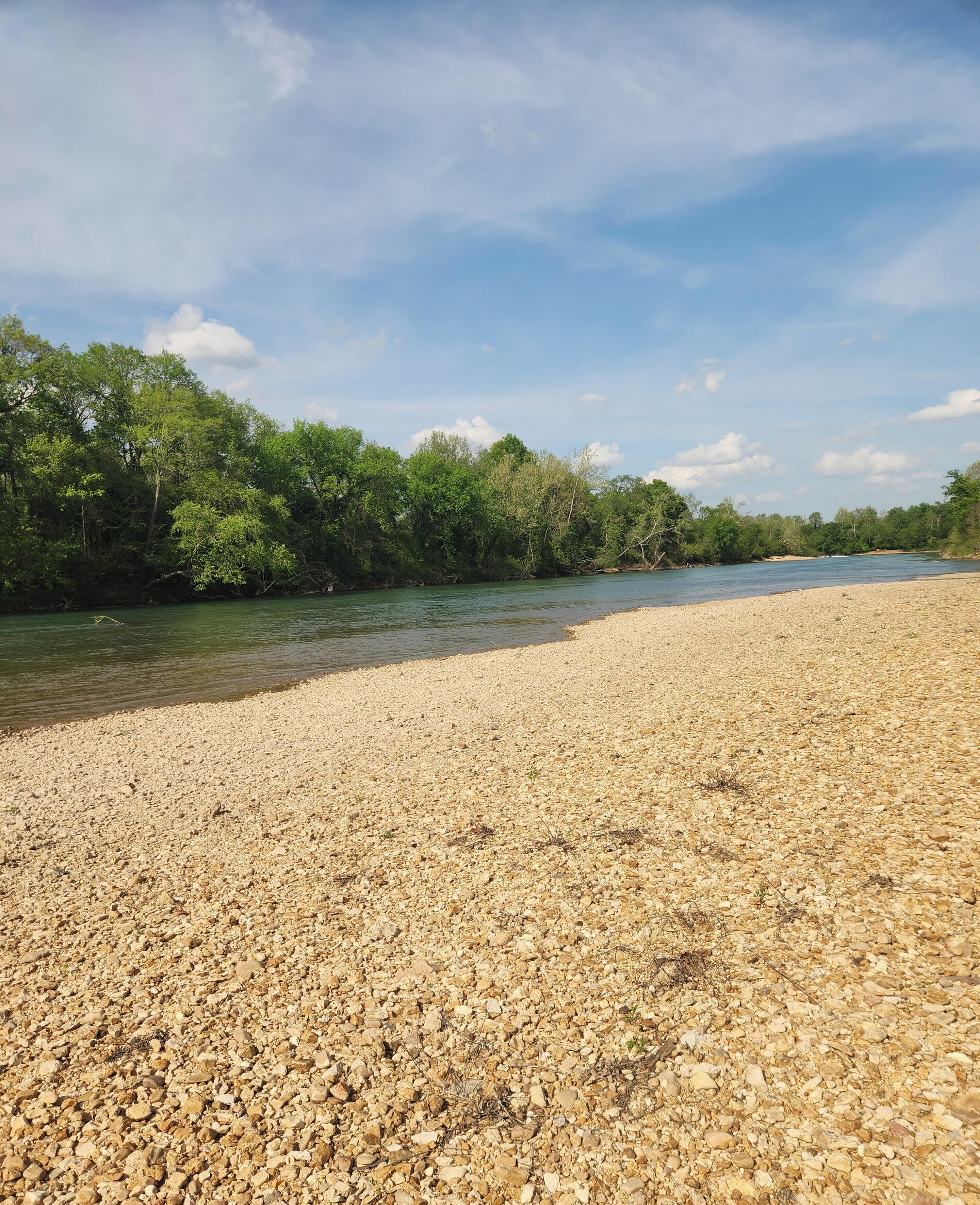 Une rive de rivière parsemée de galets, avec des arbres en arrière-plan.