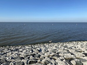 A rocky shoreline with calm water and buoys. - Mariechen am Meer Apt. 2 - Norddeich (Norden)