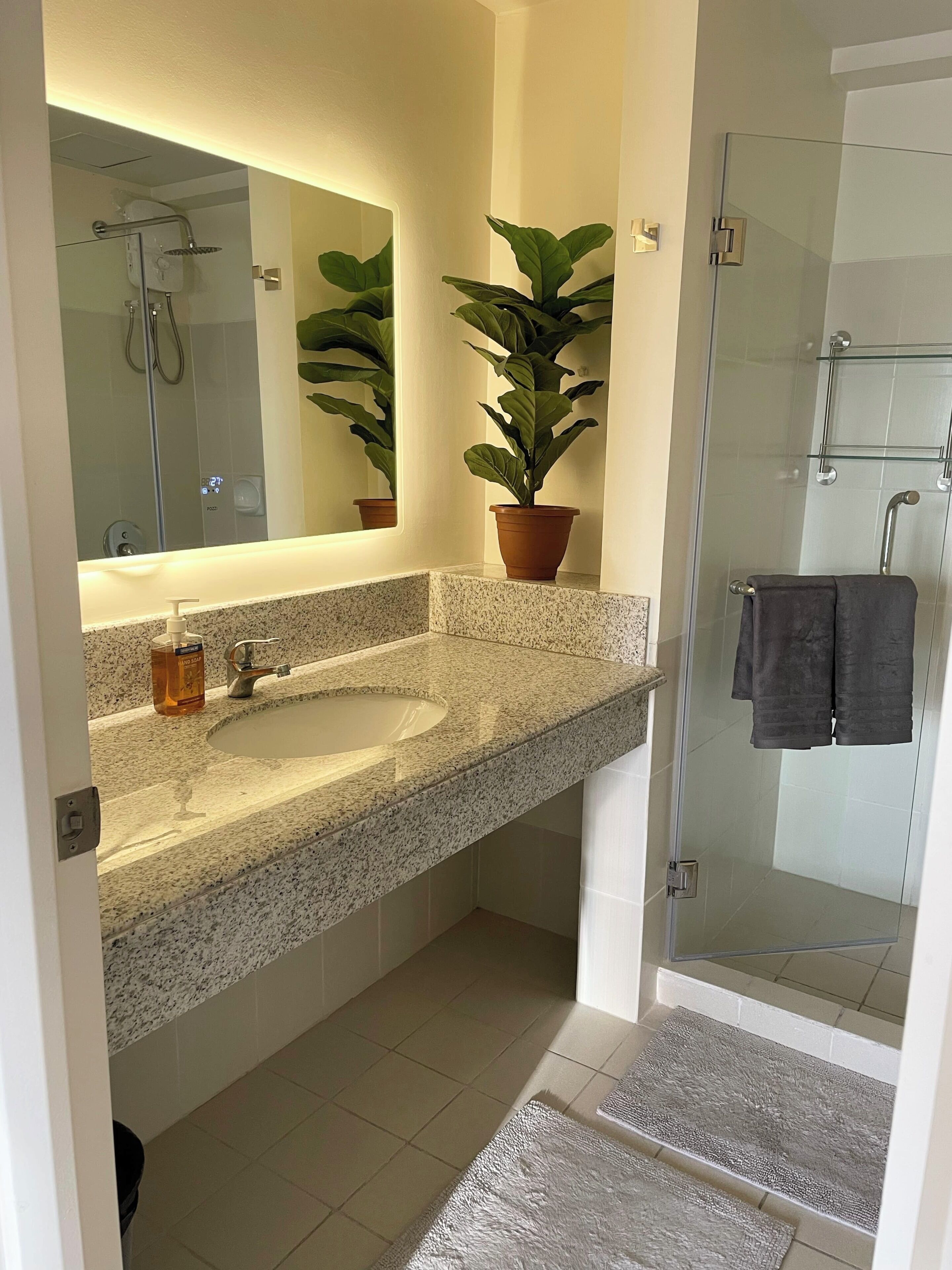 Shower, bidet, towels, soap