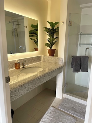 Un bagno moderno con lavabo su piano in granito, uno specchio grande, una pianta in vaso e box doccia in vetro.