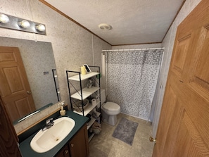 A bathroom with a sink, mirror, vanity, shelves, toilet, shower curtain, and a door. - Old but bright & comfy modular home with wildlife on serene acre; family & pets (Lanesville)