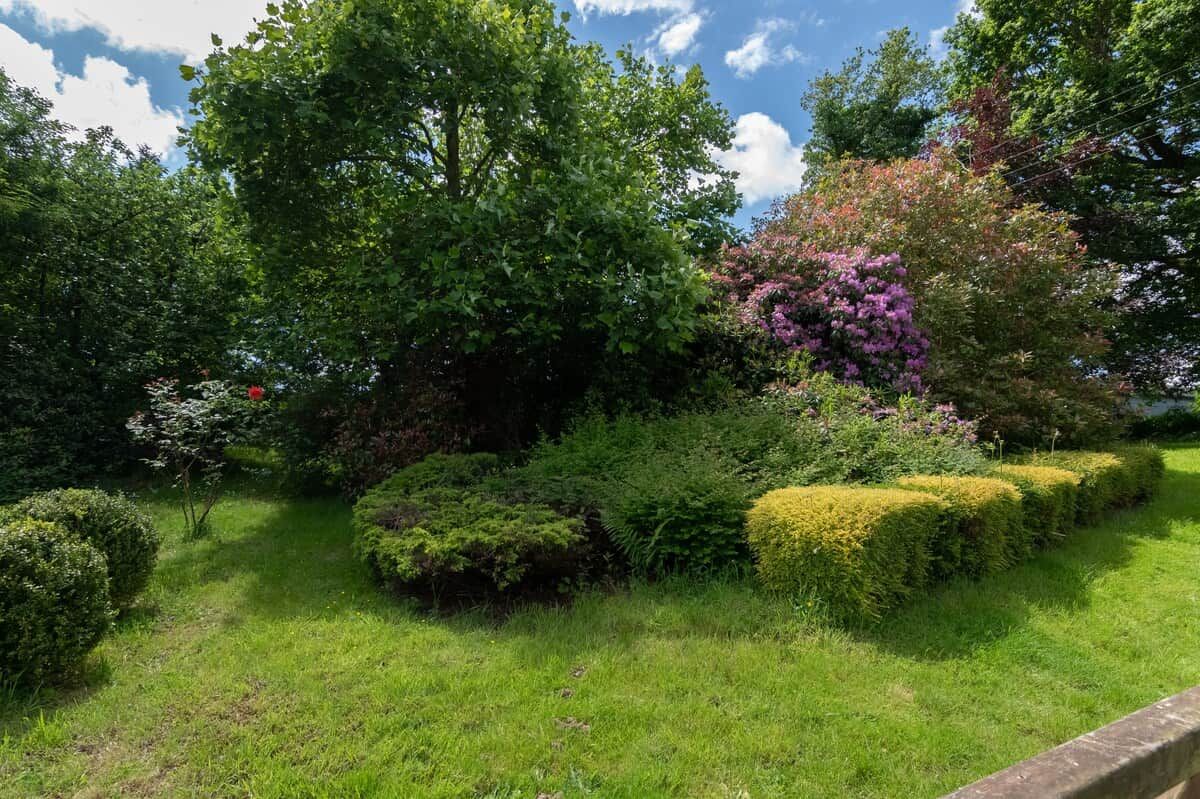 Un jardin bien entretenu, agrémenté de divers arbustes et arbres, un ciel dégagé et un chemin pavé.