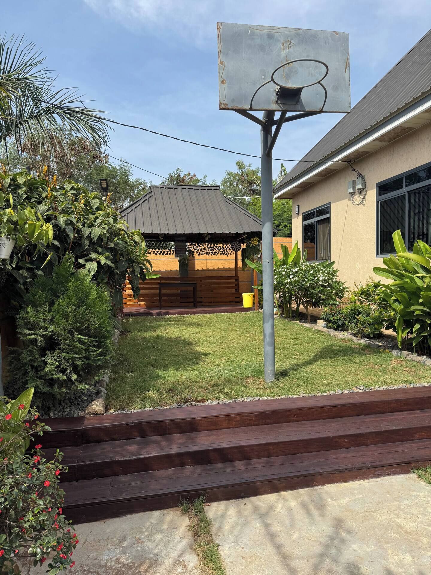 A basketball hoop in a backyard with a wooden bench, a shed, and various plants.