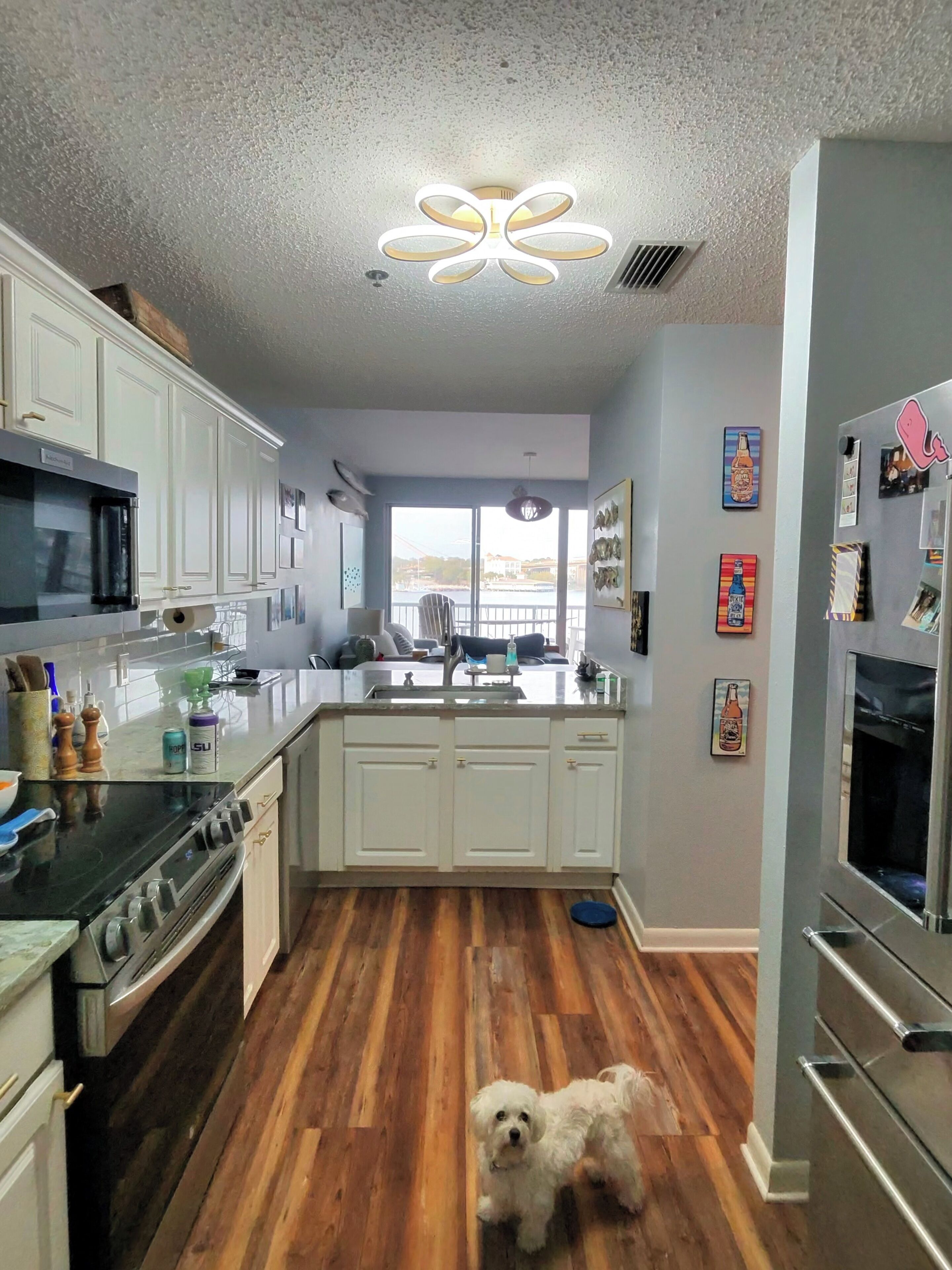 A kitchen with white cabinets, a wooden floor, and a dog.