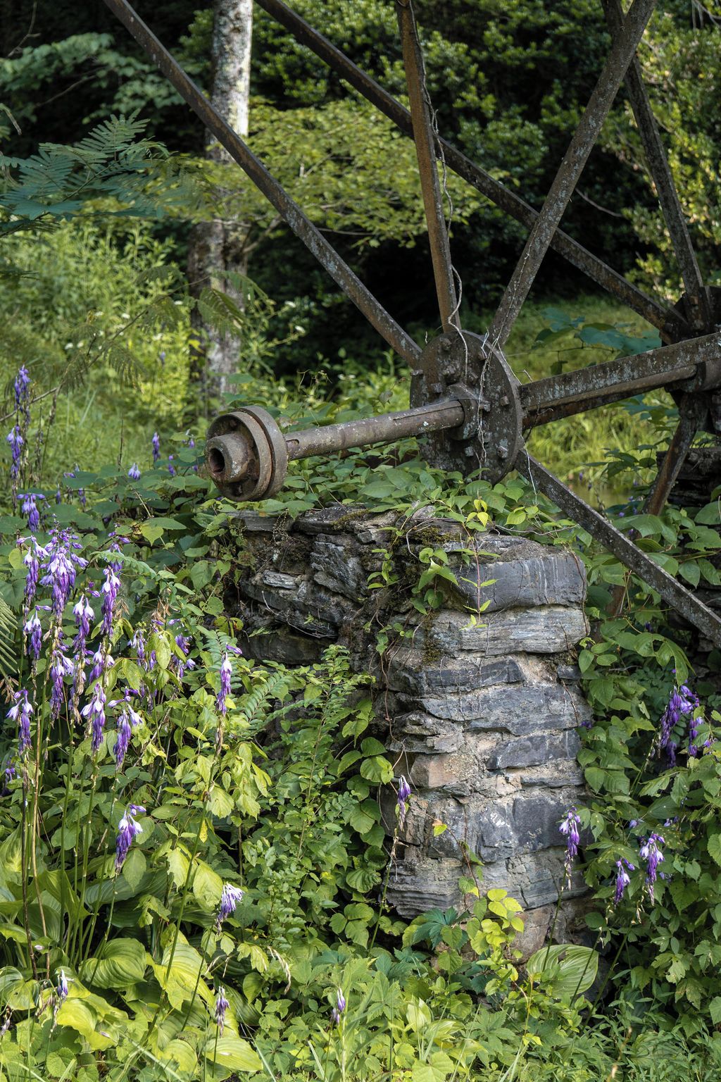 Une construction rustique en pierre, dotée d’une grande roue en métal, entourée d’une végétation luxuriante et de fleurs violettes.