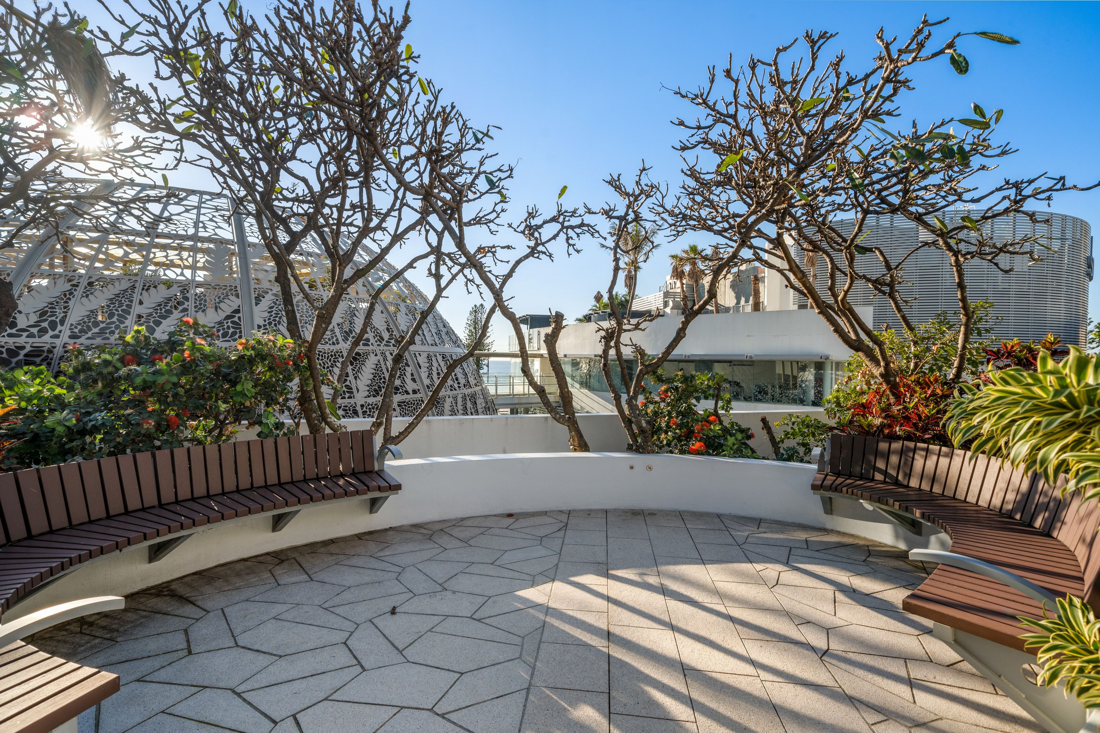 An outdoor seating area with benches and potted plants, surrounded by trees and a clear sky.