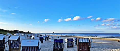 Beachside beach chairs with umbrellas, a clear sky, and the ocean in the background.
