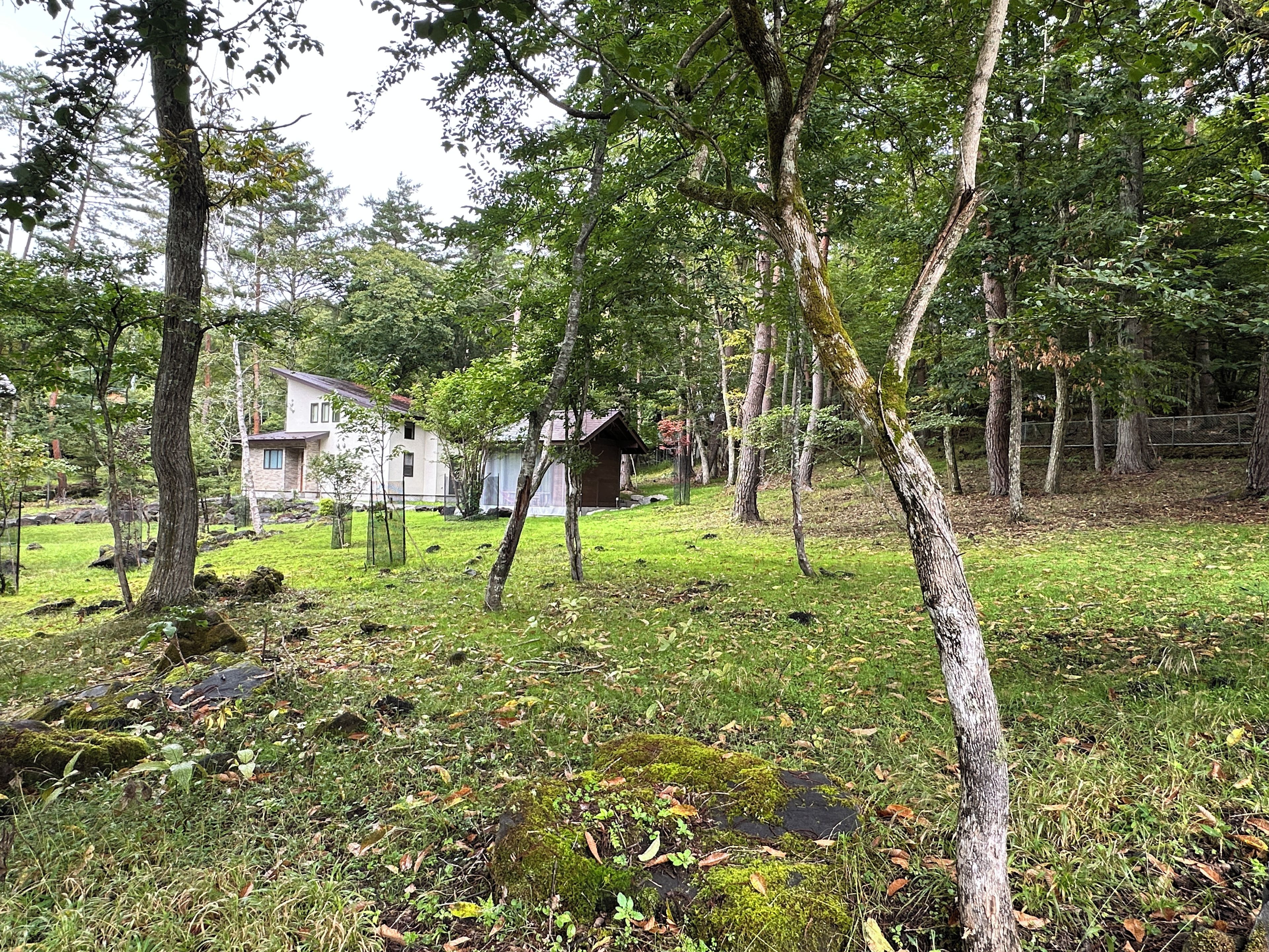 Mökki, joka on rakennettu maalaismaisessa tyylissä ja sijaitsee metsäisen alueen keskellä, lähellä niittyä ja pientä lampea.