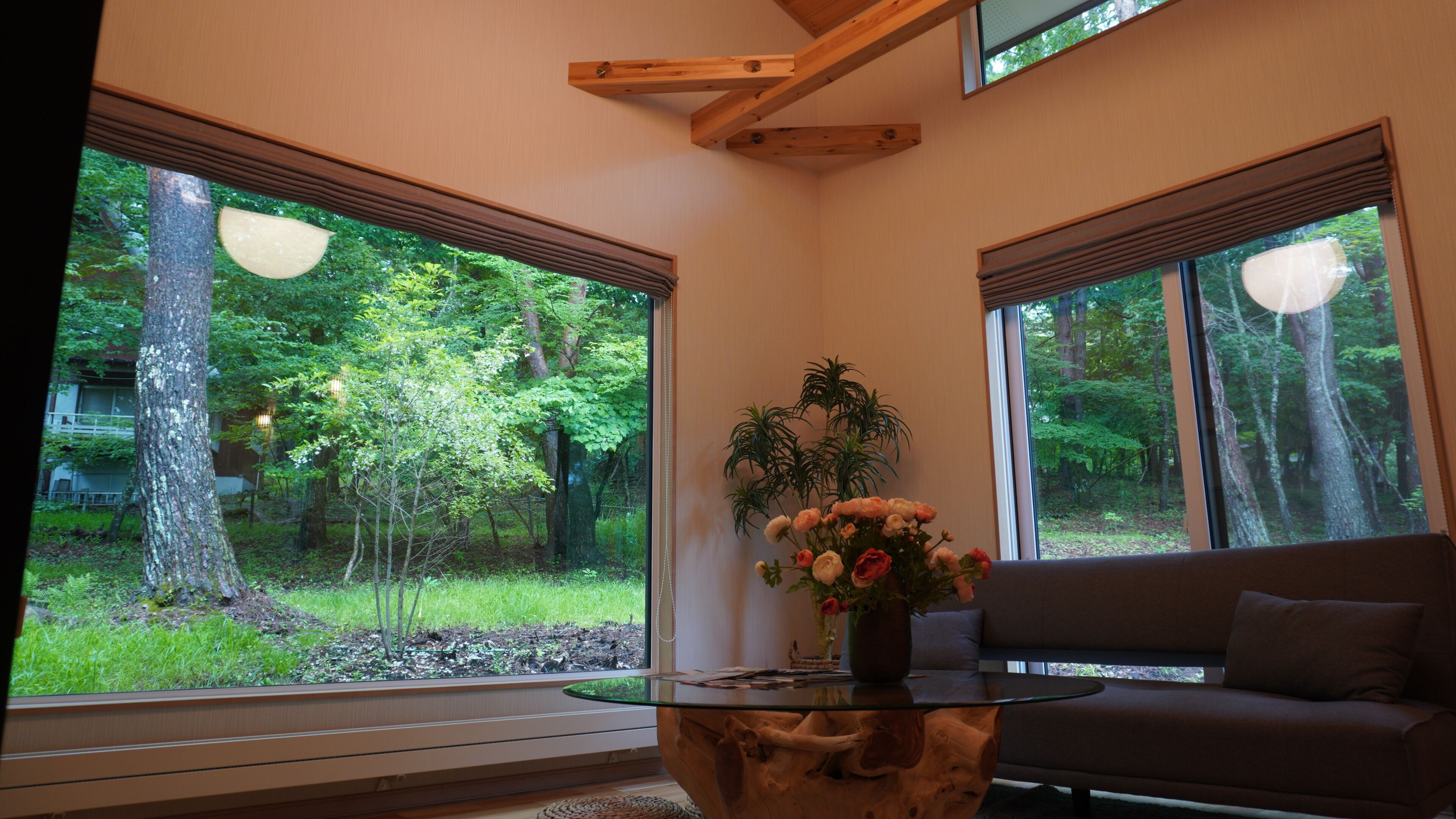 A room with large windows, a glass coffee table, a sofa, and a potted plant.