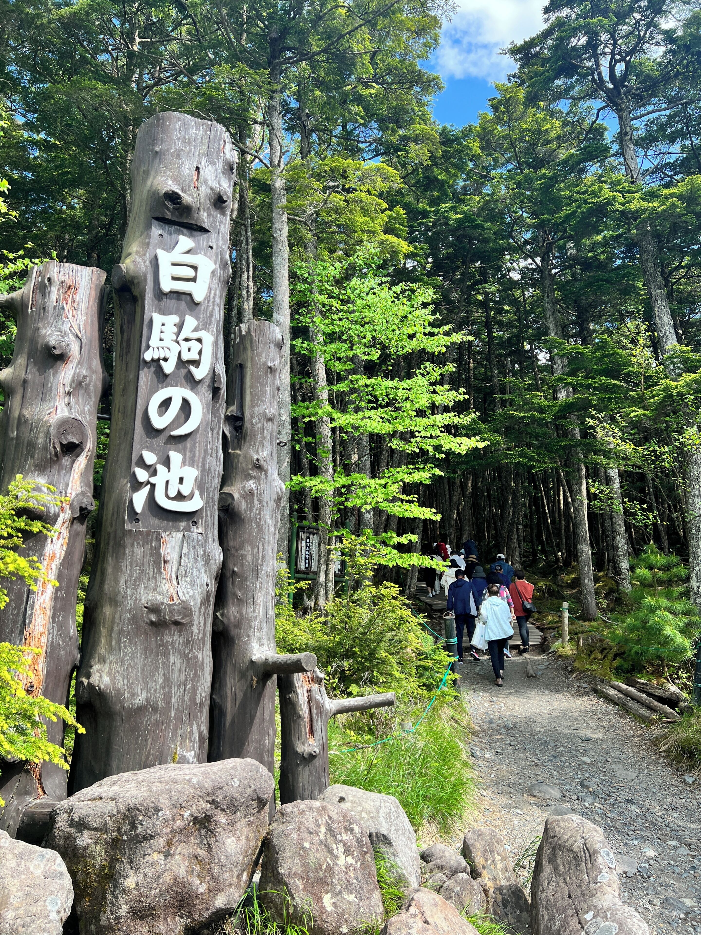 A wooden signpost with Japanese characters, surrounded by a forested area with a gravel path.