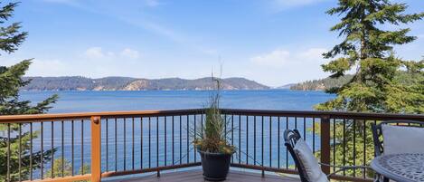 A deck with a view of a lake, a potted plant, and outdoor furniture.
