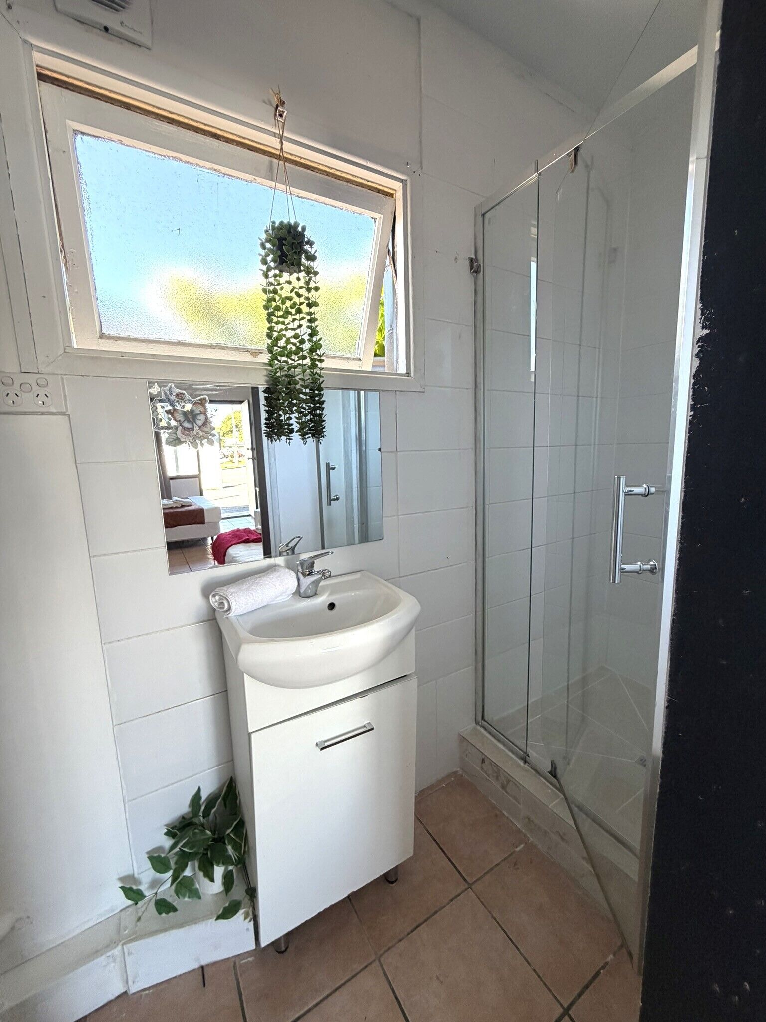 A bathroom with a white sink, a mirror, a hanging plant, and a glass shower enclosure.