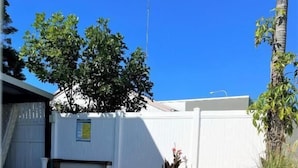 A swimming pool with a white fence, a palm tree, and a small garden area with pebbles.