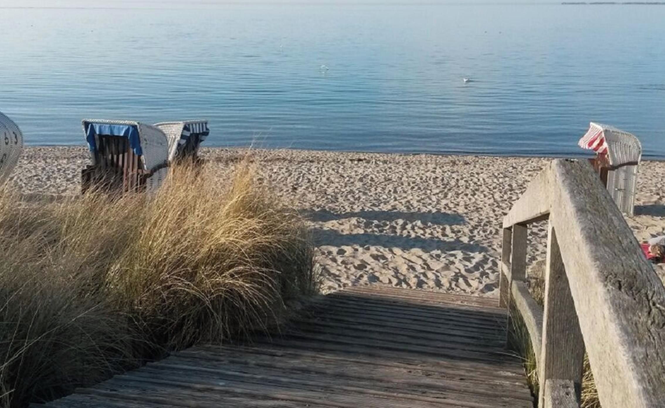 A wooden boardwalk leading to a sandy beach with calm water in the background.