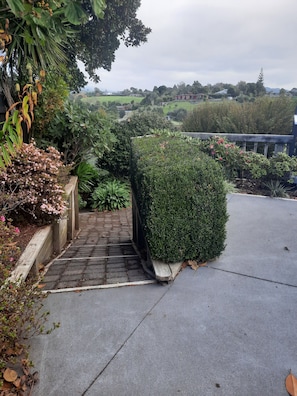 A paved pathway leading to a building entrance, surrounded by various shrubs and plants.