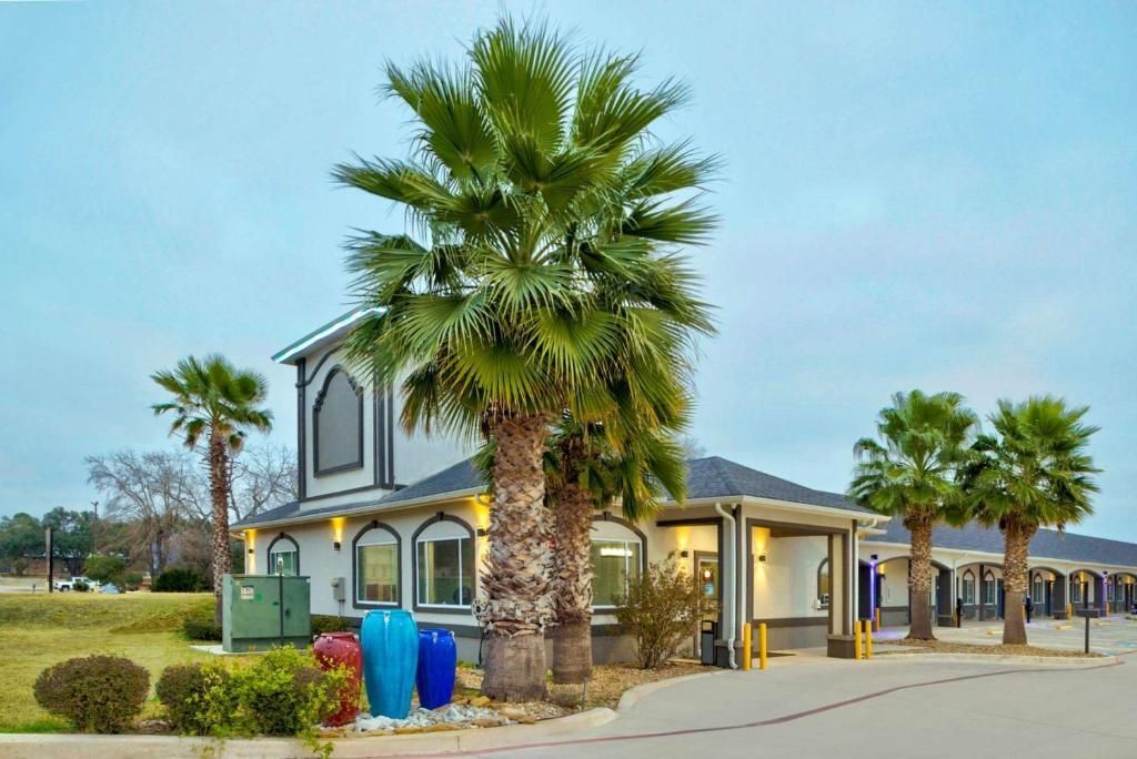 A hotel with a modern architectural style, featuring a prominent palm tree in the foreground.