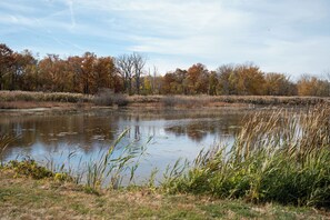 A natural landscape with a body of water, trees, and reeds. - Peaceful 3-bedroom lake house with hot tub, and sauna.Birders paradise. (Amherstburg)