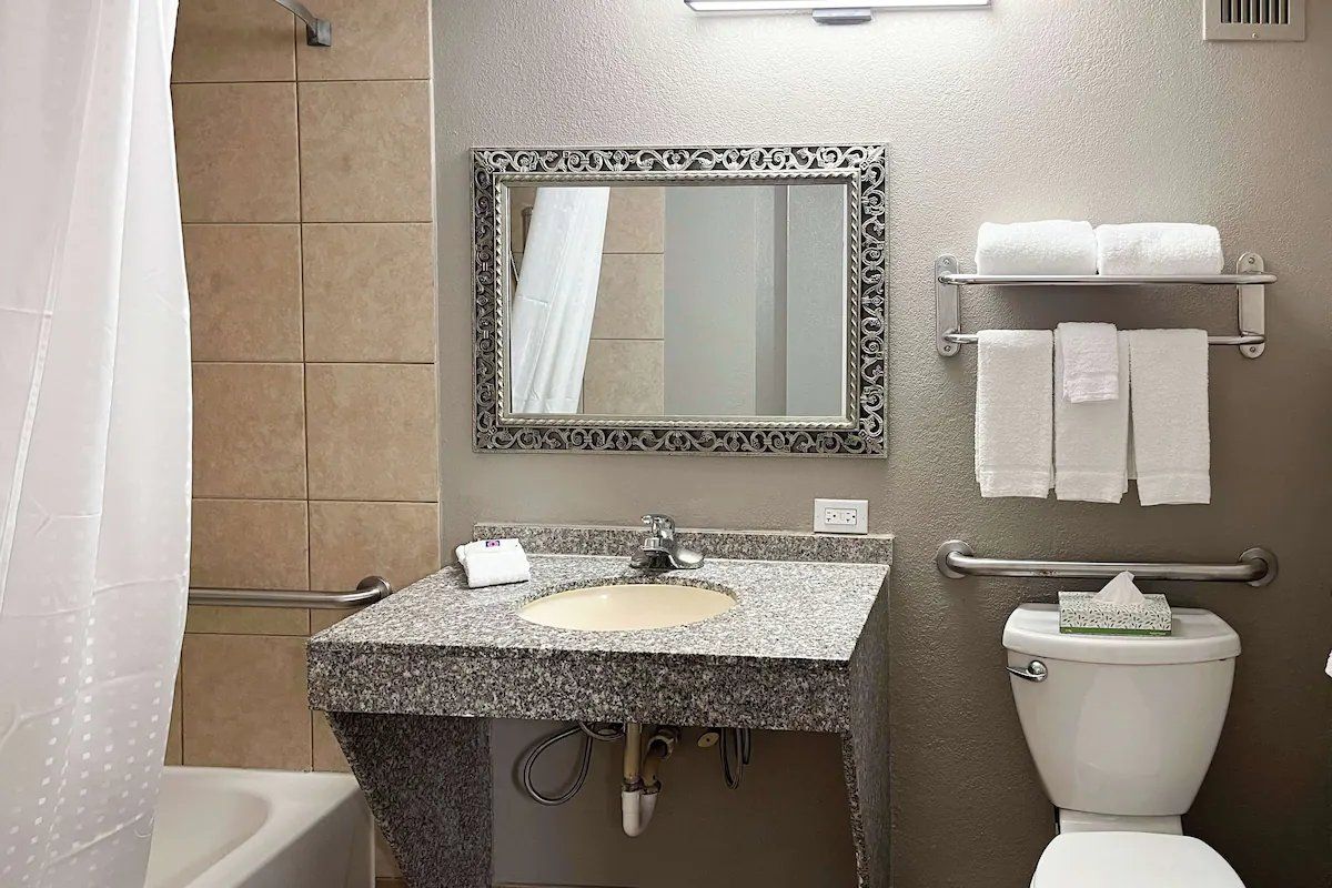 Une salle de bain avec un lavabo en granit, un miroir doté d’un cadre orné, des toilettes avec un porte-serviettes en papier et un rideau de douche.