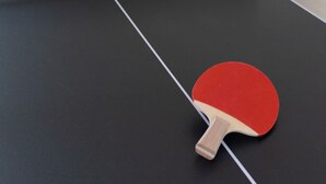 A ping pong table with a paddle, a red chair, and a plant in a room with white walls.