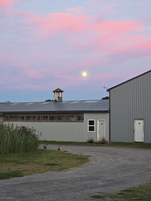A building with a metal roof, a small tower with a star-shaped top, and a door.