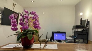A reception desk with a potted plant, a deer figurine, and a computer monitor. - Lantern City Suites (Toronto)