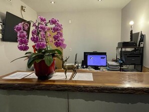 Een receptiebalie met een potplant, een hertenbeeldje en een computermonitor.