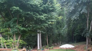 A deck with a view of a well-maintained lawn and a picnic table with an umbrella.