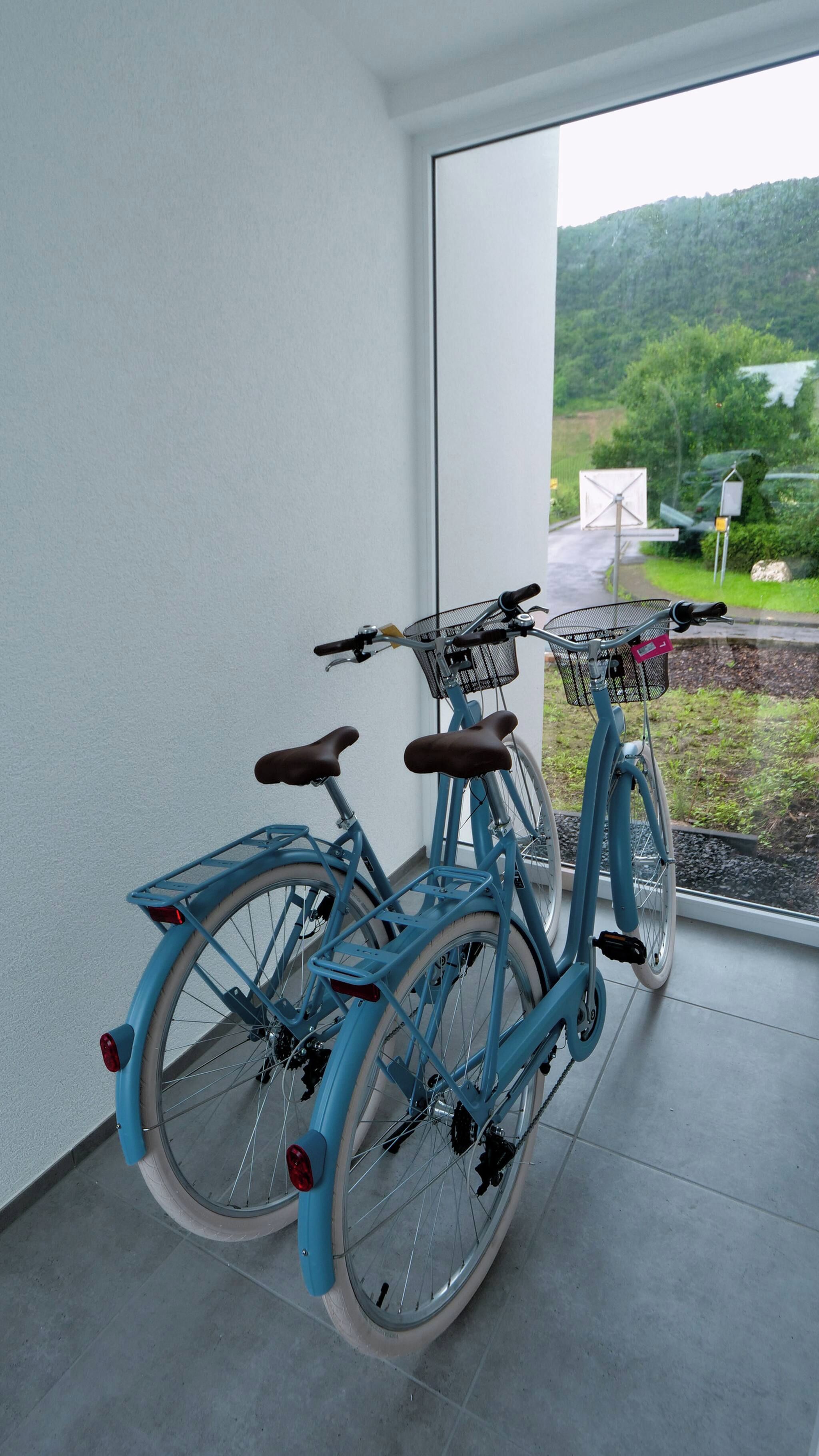 A room with a large window, a blue bicycle with a basket, and a view of a green landscape.
