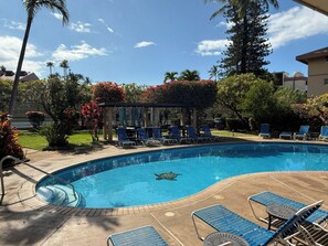 A swimming pool with lounge chairs and a covered seating area. - Elegant top-floor unit with central AC; Haleakala Shores, steps from Kam 3 beach (Kihei)