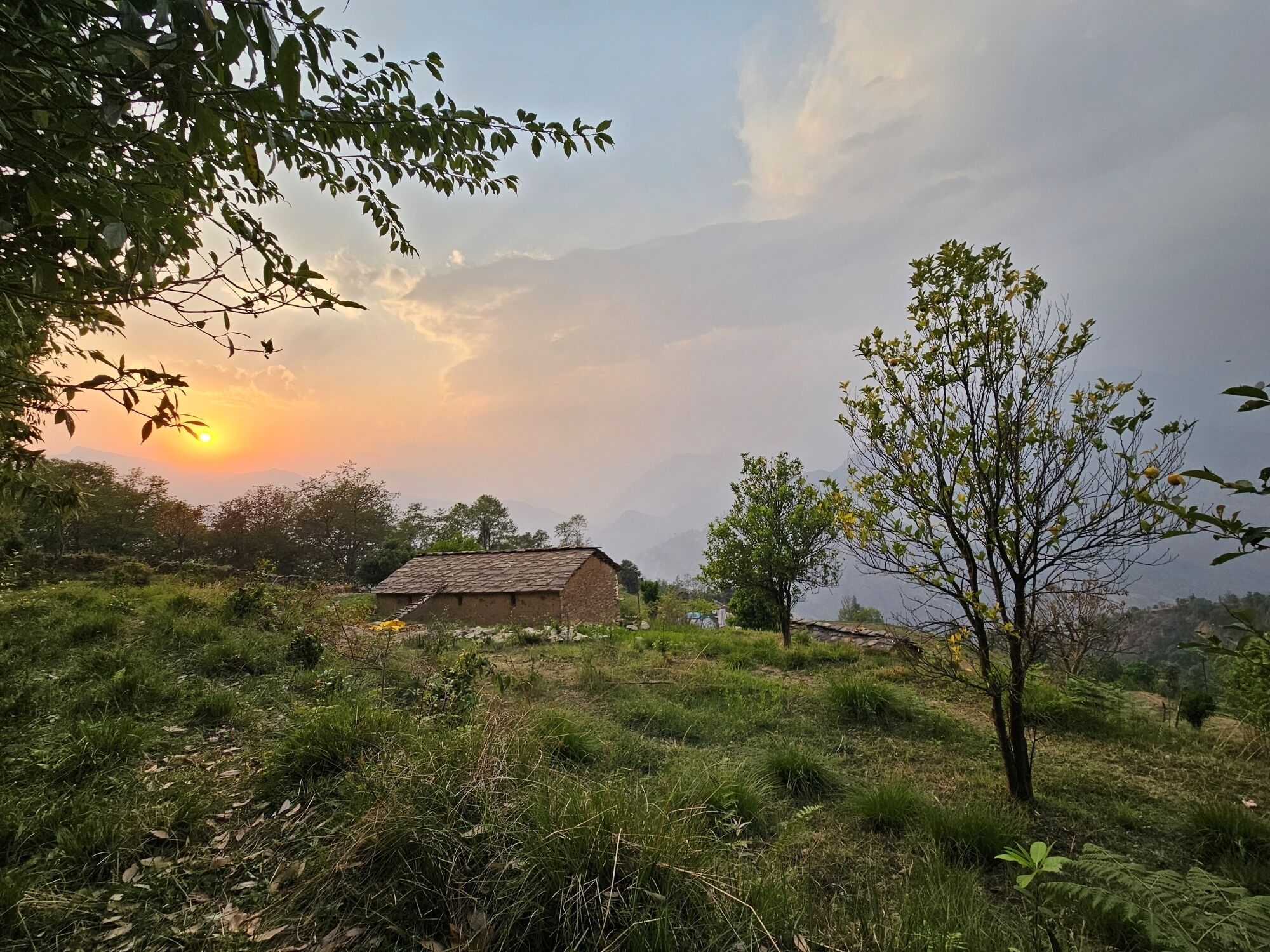 A rural landscape with a house and trees.