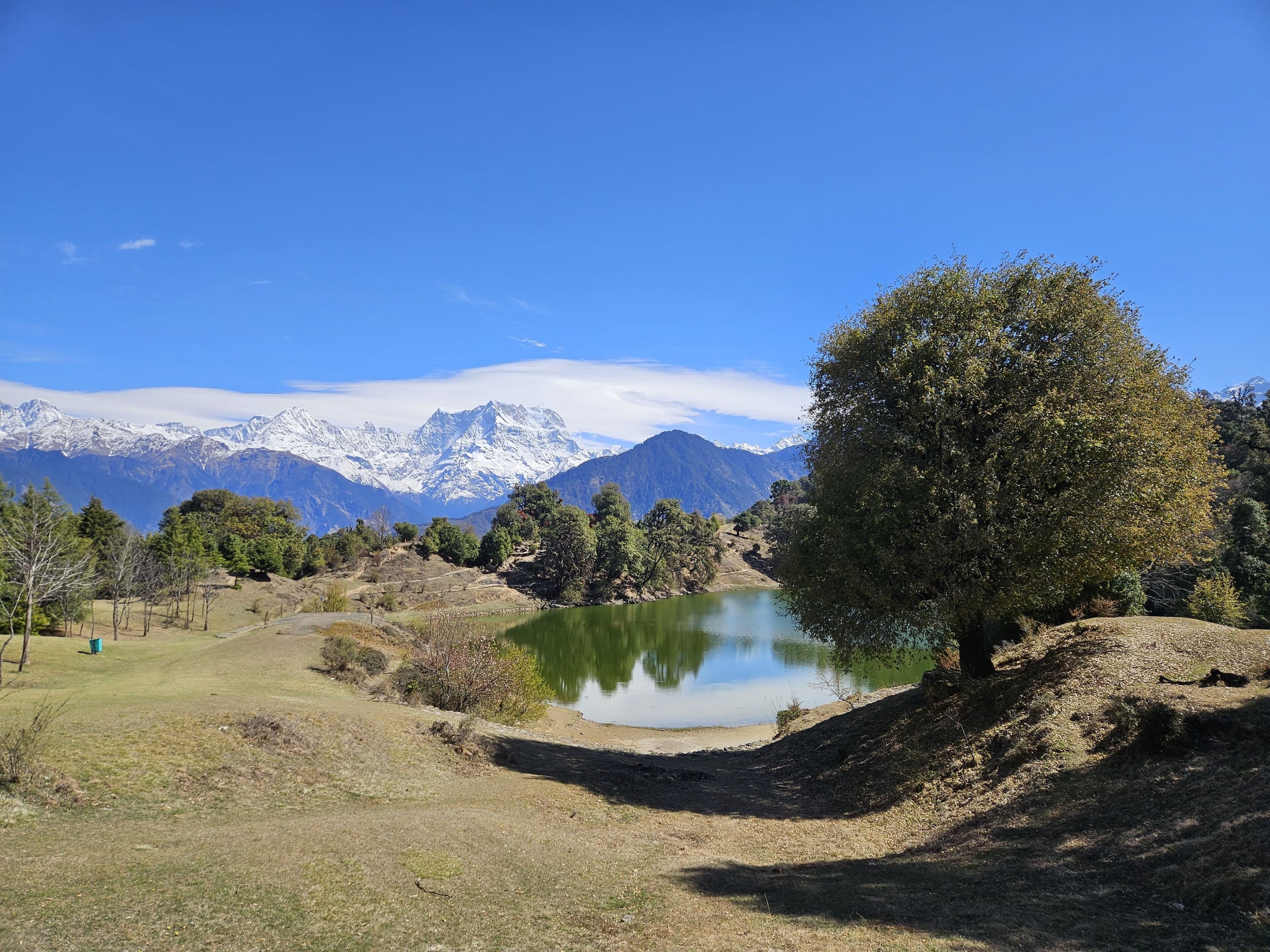 Un paisaje natural con un lago, árboles y montañas al fondo.