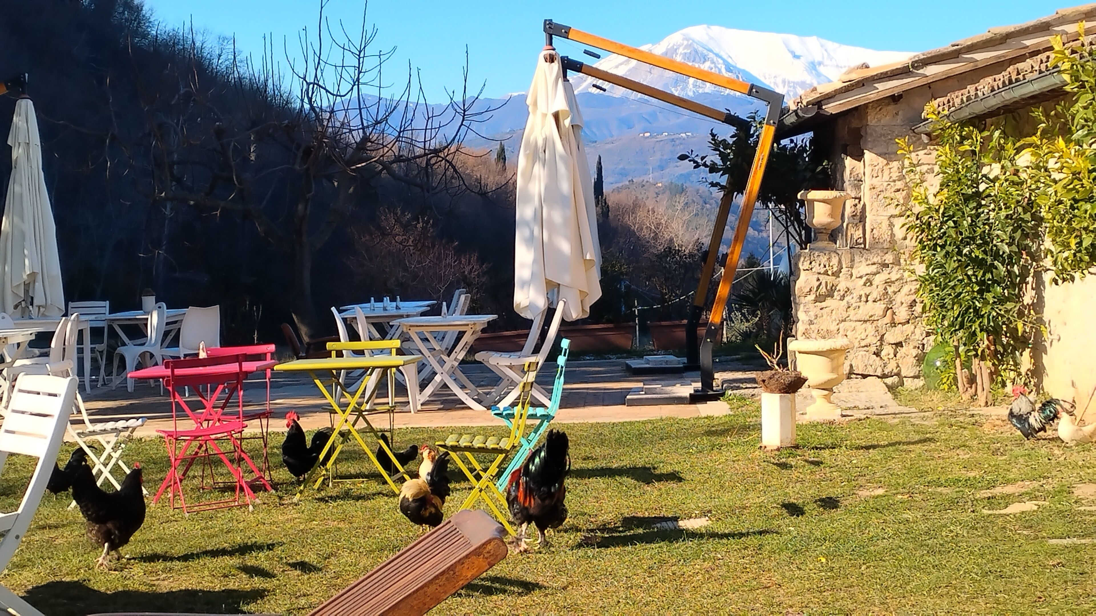Un'area patio con mobili da esterno, un gallo e montagne sullo sfondo.