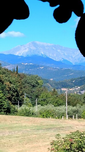 A mountainous landscape with a clear sky. - A cozy home nestled in the green hills, 4 km from the town center (Marche)