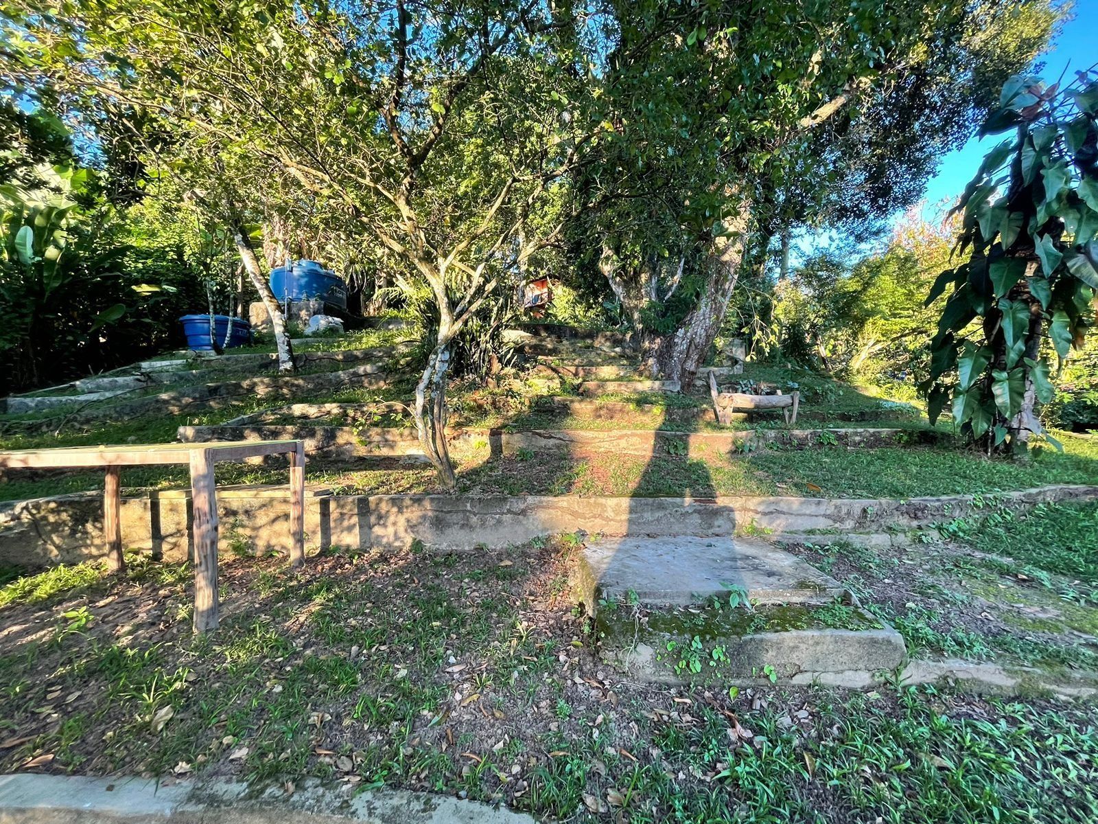 Un sendero que atraviesa un jardín con árboles y un banco de madera.