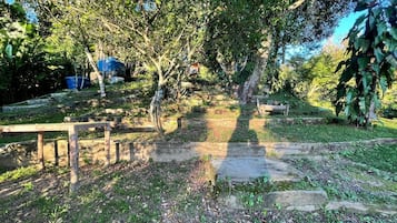 Un sendero que atraviesa un jardín con árboles y un banco de madera.