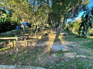A pathway leading through a garden with trees and a wooden bench.
