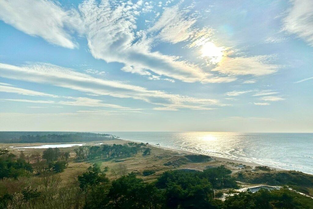 Un paisaje costero con playa, árboles y cielo despejado.