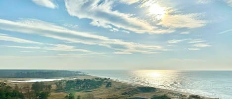 A coastal landscape with a beach, trees, and a clear sky.