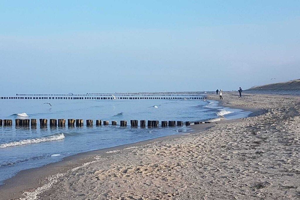 A beach with a wooden breakwater, pebbly shore, and a clear sky.