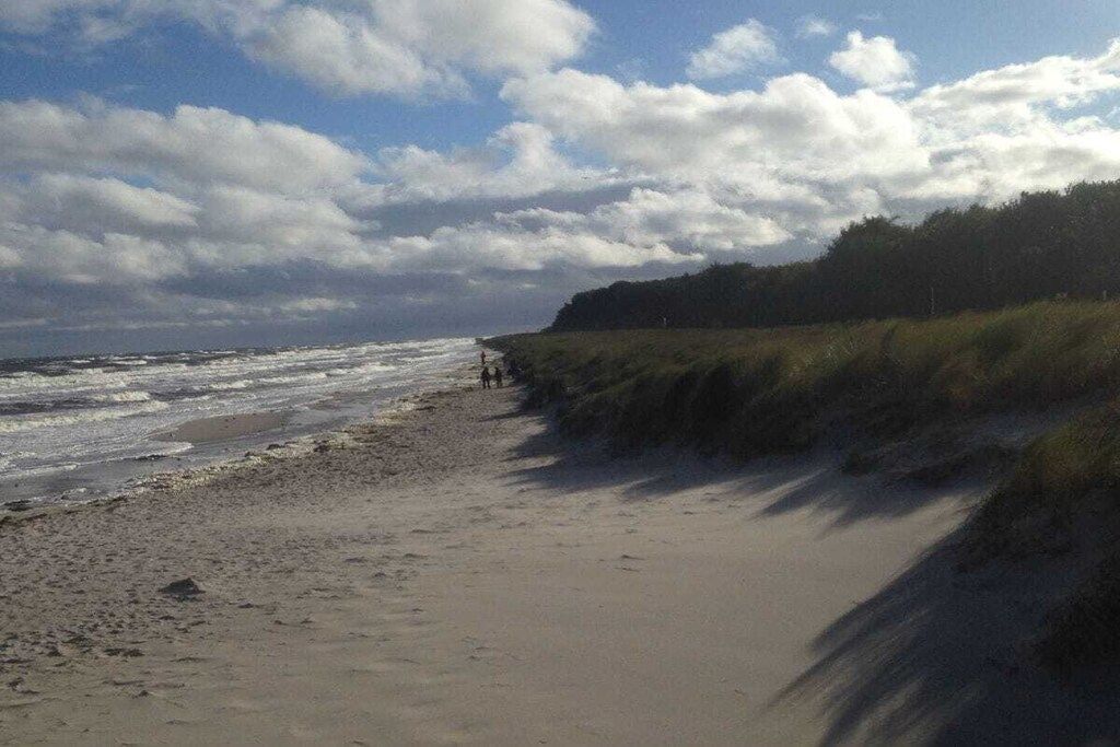 Una playa con arena dorada y un terraplén cubierto de hierba.