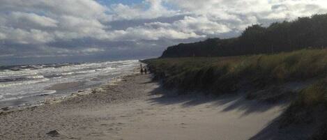 A beach with a sandy shore and a grassy embankment.