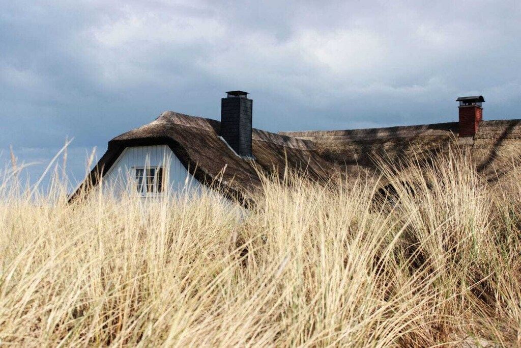 A house with a thatched roof, two chimneys, and surrounded by tall grass.