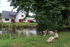 Ein Haus mit Teich, Enten und einem roten Auto auf der Auffahrt.
