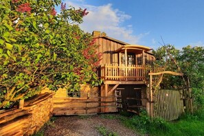 A rustic wooden house with a balcony, surrounded by greenery and a gravel path. - "Zur Tenne" - in the Müritz National Park (Mirow\/OT Babke)