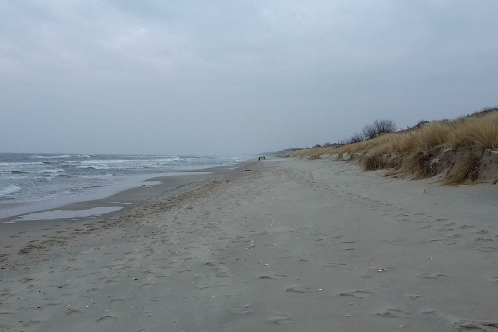 Une plage avec un rivage sablonneux et des dunes en arrière-plan.
