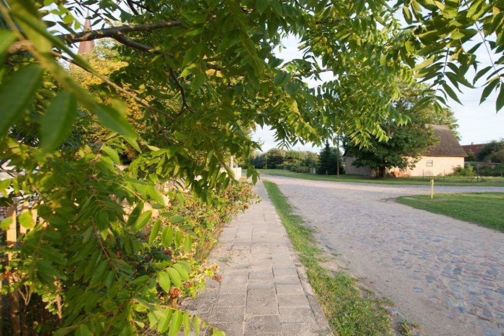 Un chemin pavé mène à un bâtiment, qui est entouré de verdure et d’arbres.