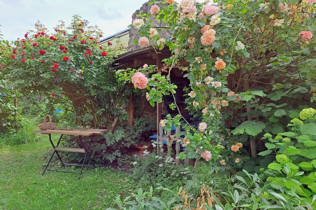 Ein Garten mit einem Holztisch und Stühlen, umgeben von üppigem Grün und blühenden Pflanzen.